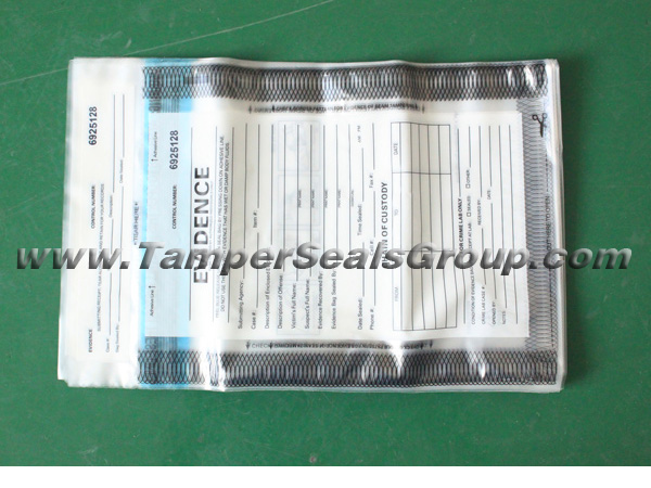 Plastic Security Bags